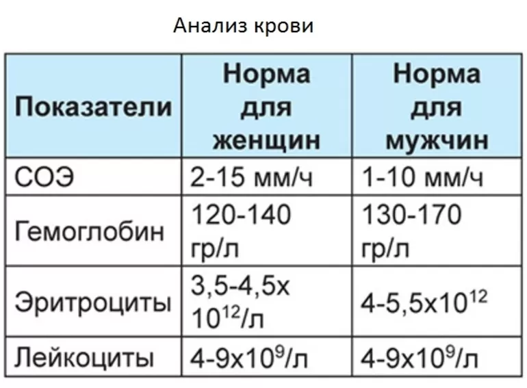 Норма эритроцитов в крови человека