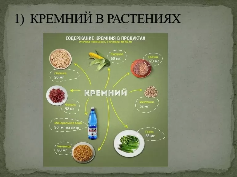Кремний в растениях