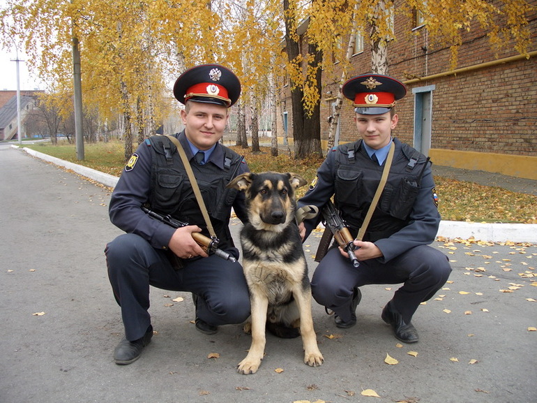 Полицейские и служебный пес