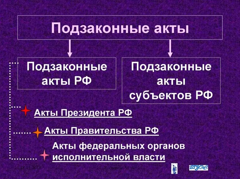 Виды подзаконных положений