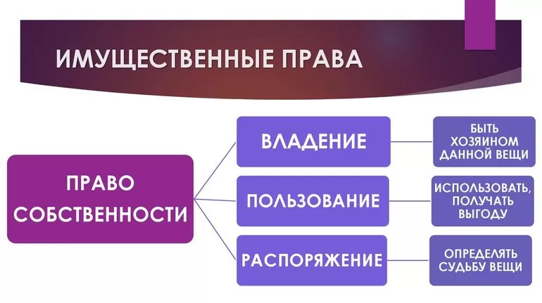 Виды прав собственности