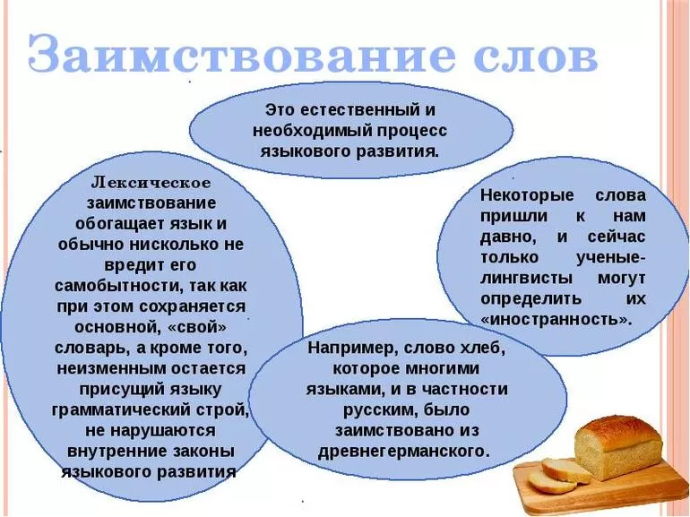 Заимствования иностранных терминов