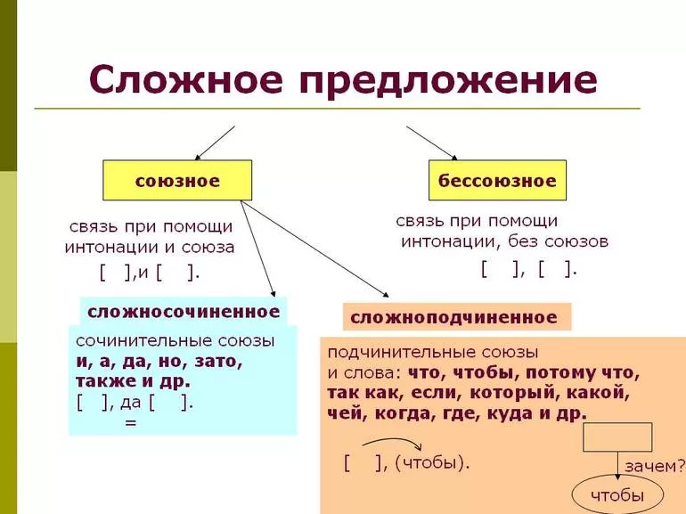 Сложные и простые предложения