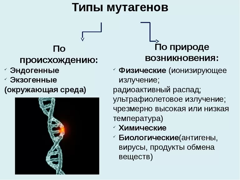 Мутагены