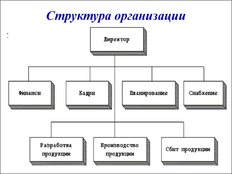 Наименование структурного подразделения пример