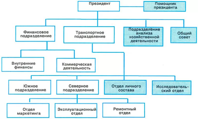Какие бывают структурное подразделение организации образец