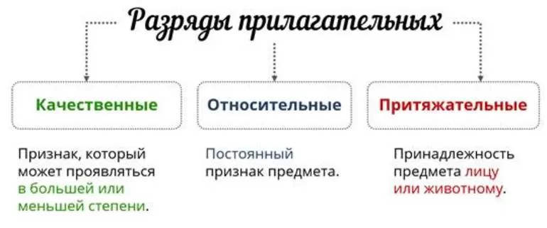Качественные относительные и притяжательные прилагательные
