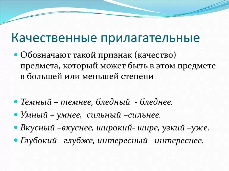 Притяжательные прилагательные что это