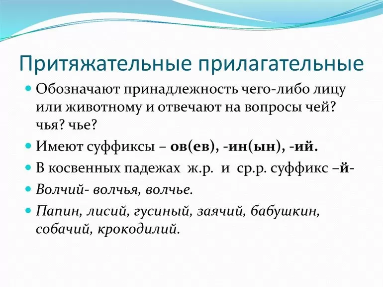Притяжательные прилагательные