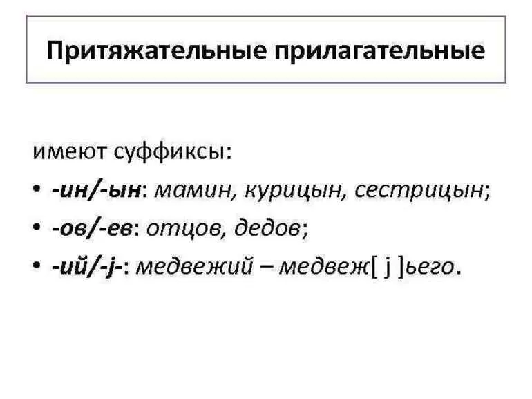 Притяжательные прилагательные что это