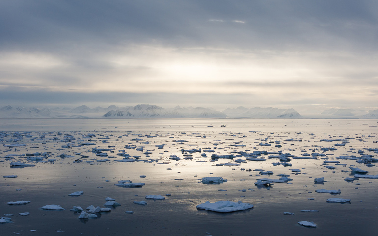 Арктика, Антарктика и Антарктида