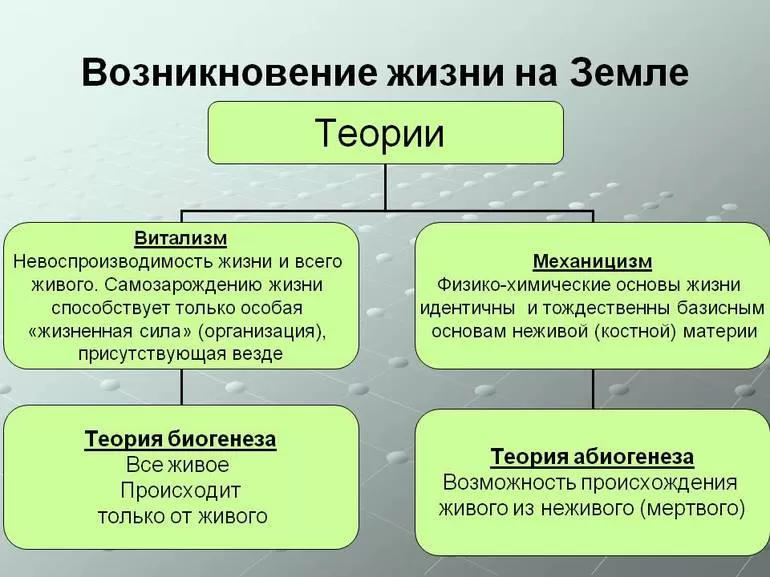 Какое событие положило начало биологической эволюции