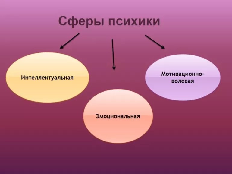 Психология внимания