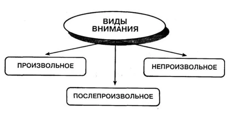 Виды внимания
