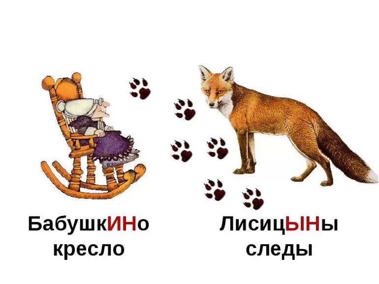 Притяжательные прилагательные