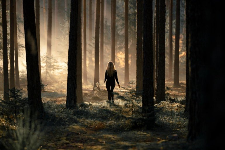 Данте идёт по лесу и наталкивается на женщину,