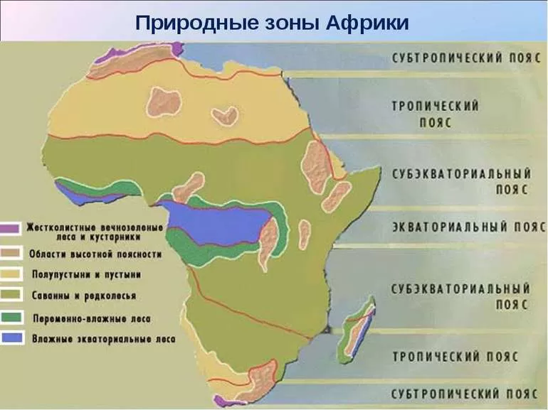 Африканский климат, экваториальные леса