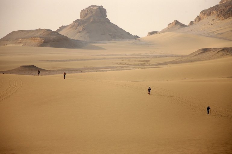 Сафари пустыня