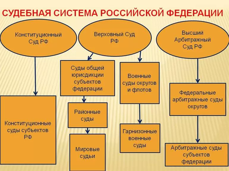 Структура суда