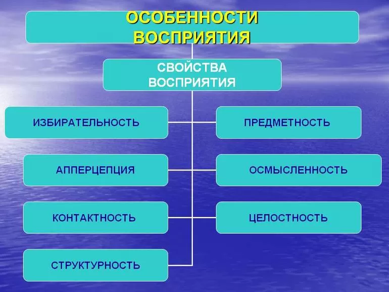 Виды восприятия