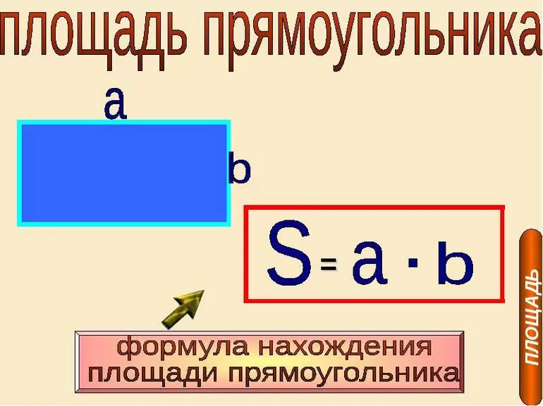 Площадь прямоугольника