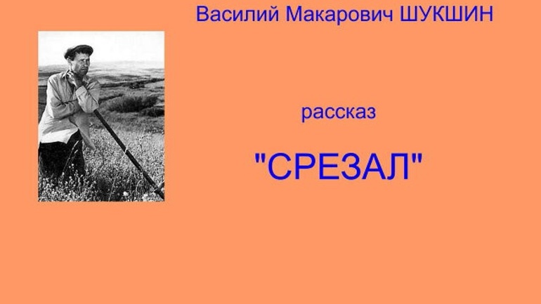 План в м шукшин срезал