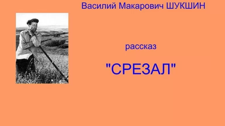 Шукшин срезал краткое содержание рассказа