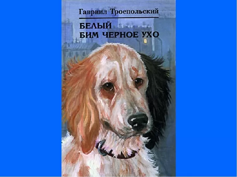 Белый бим черное ухо краткое содержание