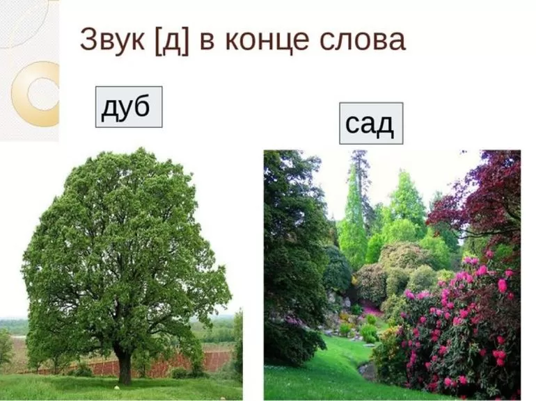 Звуковой анализ слова