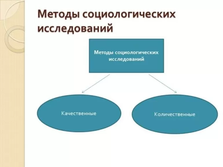 Социальные исследования