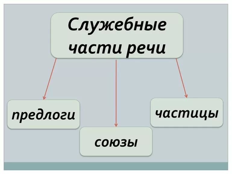 Служебные части речи в русском языке