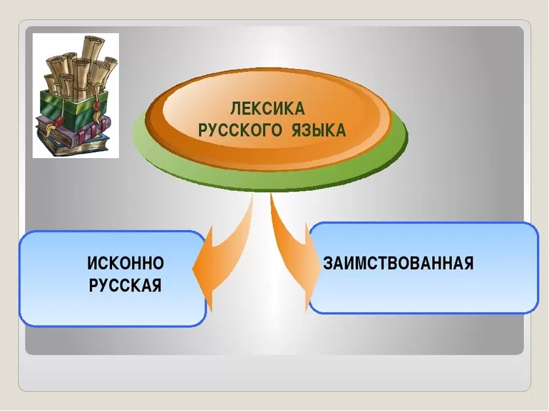 Заимствованные слова в русском языке