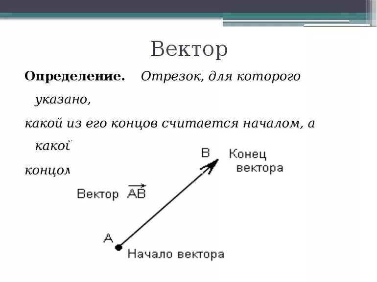 Определение вектора