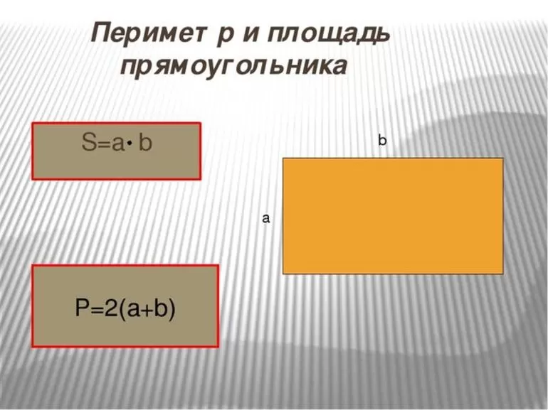 Площадь прямоугольника 