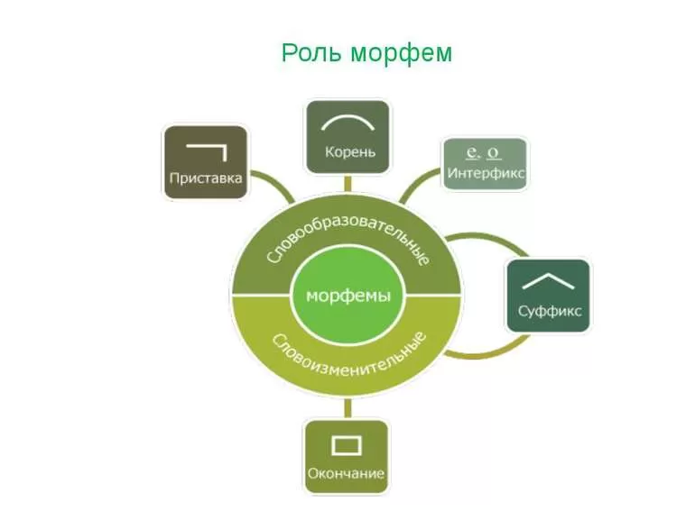 Основные разновидности