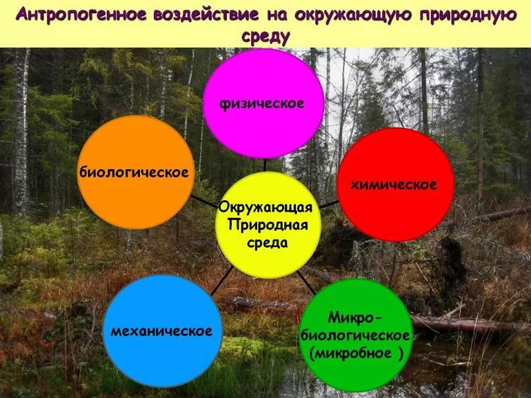 Антропогенные и естественные причины его появления
