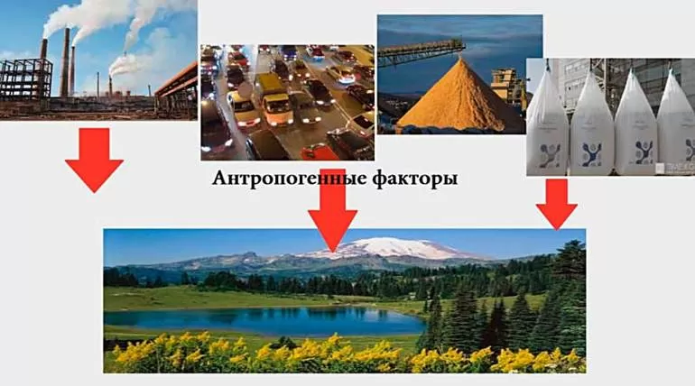 Парниковый эффект: определение сути