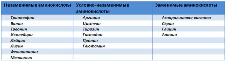 Деление белковых компонентов на различные классы