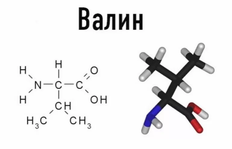 Общая формула аминокислот