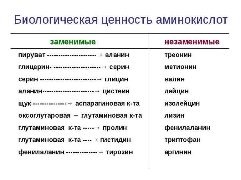 Химические свойства аминокислот