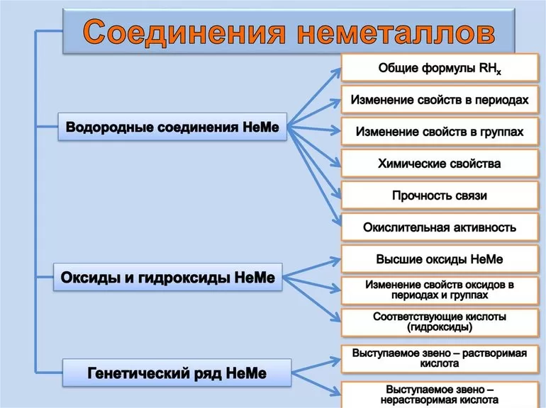 Их место в периодической таблице и роль