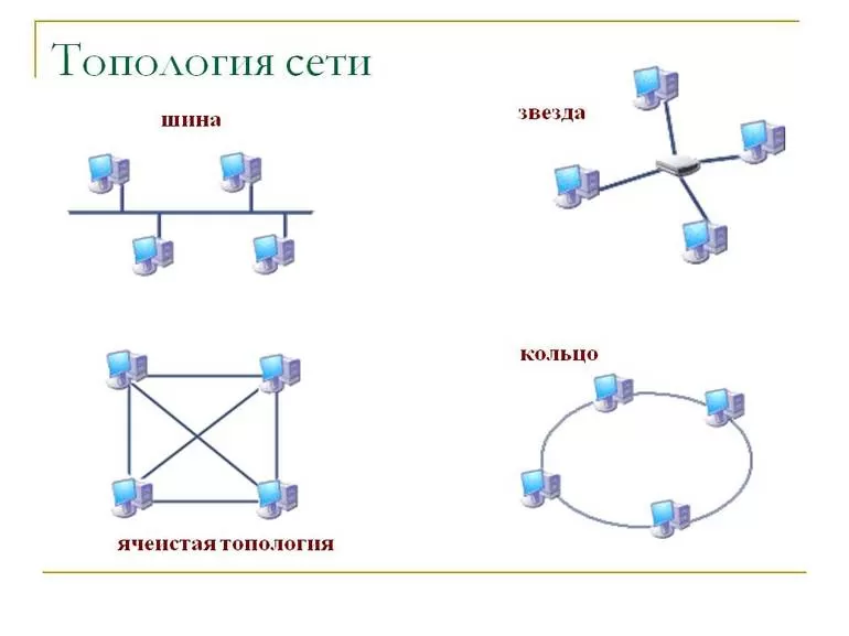 Виды топологий сетей