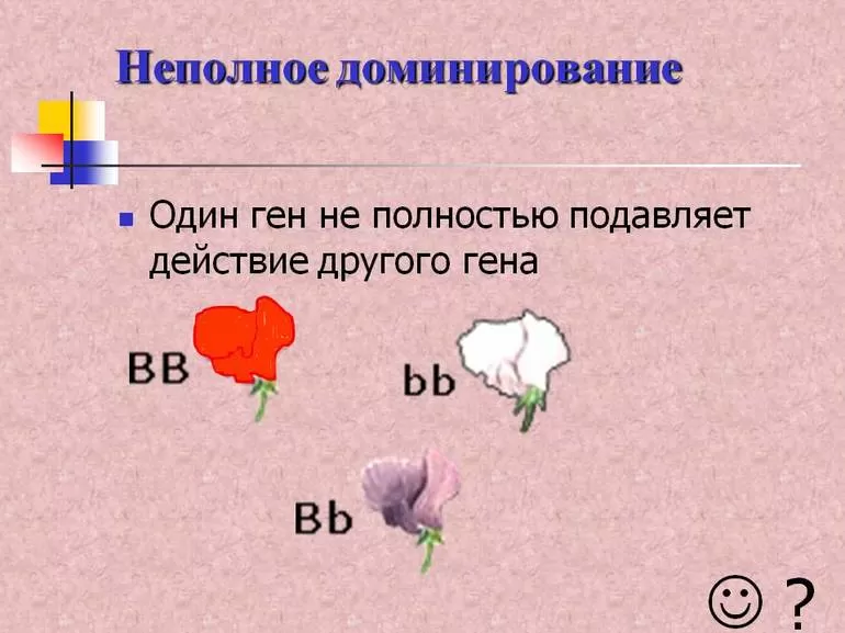 Кодоминирование аллельных генов в организме