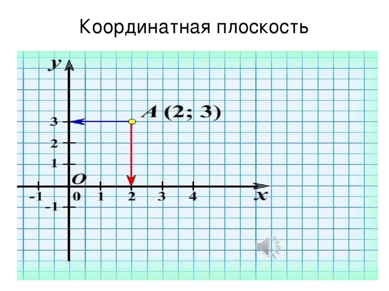 Координатная плоскость