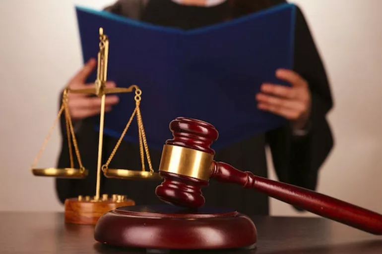 Правовая позиция судьи,