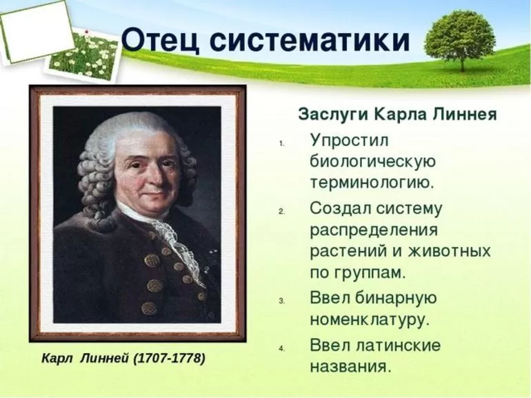 Создатель систематики