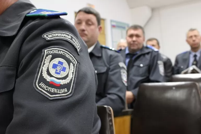 Государственные инспекторы