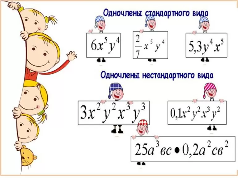 Виды одночлена