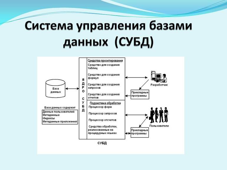 Системы управления базами данных (СУБД).