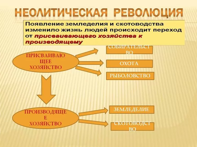 Суть перехода от присваивающей к производящей хозяйственной модели